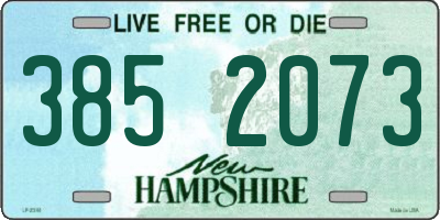 NH license plate 3852073