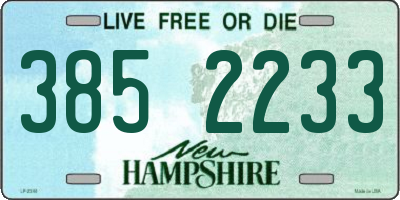 NH license plate 3852233