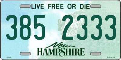 NH license plate 3852333