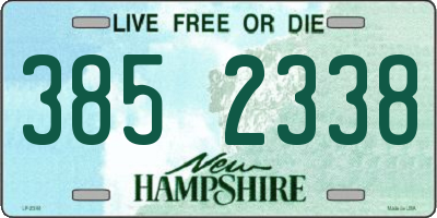 NH license plate 3852338