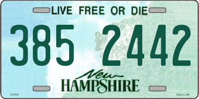NH license plate 3852442