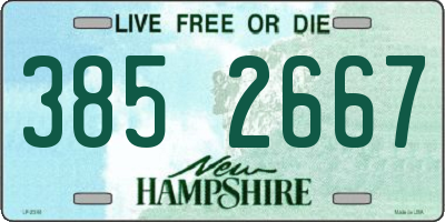 NH license plate 3852667