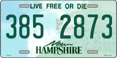 NH license plate 3852873