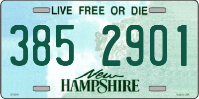 NH license plate 3852901