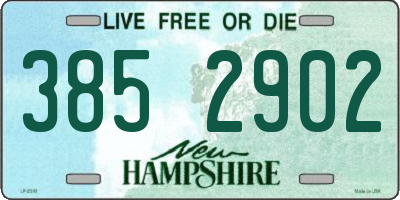 NH license plate 3852902