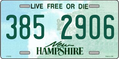NH license plate 3852906
