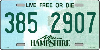 NH license plate 3852907