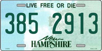 NH license plate 3852913