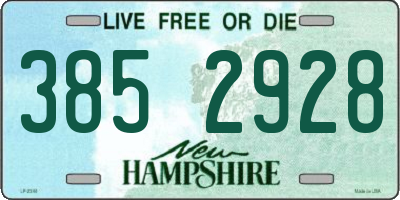 NH license plate 3852928
