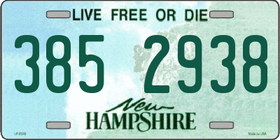 NH license plate 3852938