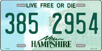 NH license plate 3852954