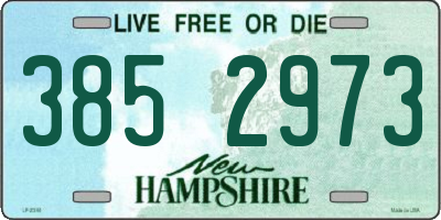 NH license plate 3852973