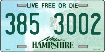 NH license plate 3853002