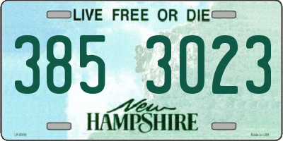 NH license plate 3853023