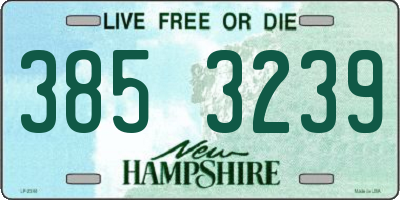 NH license plate 3853239