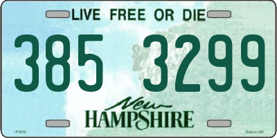 NH license plate 3853299