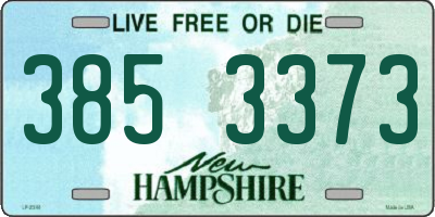 NH license plate 3853373