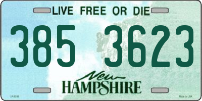 NH license plate 3853623