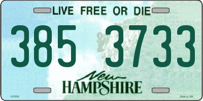 NH license plate 3853733
