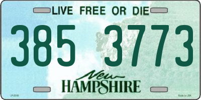 NH license plate 3853773