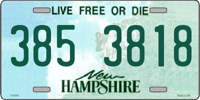 NH license plate 3853818