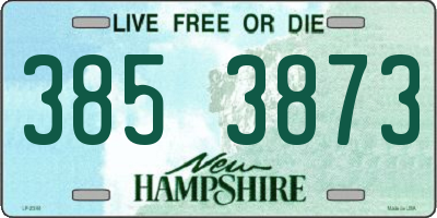 NH license plate 3853873