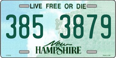 NH license plate 3853879