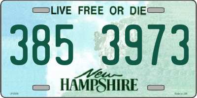 NH license plate 3853973