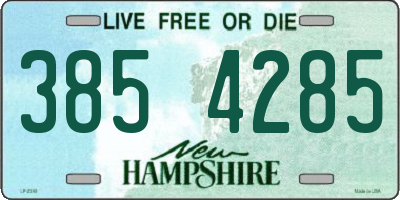 NH license plate 3854285