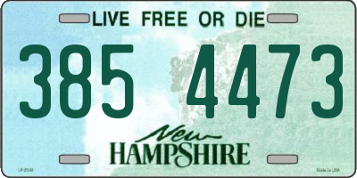 NH license plate 3854473