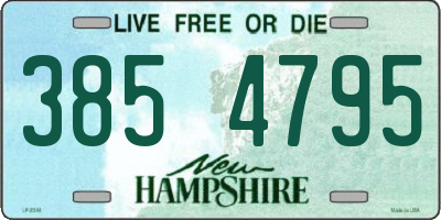 NH license plate 3854795