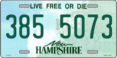 NH license plate 3855073