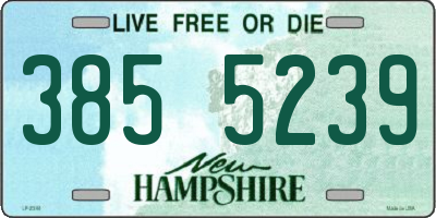 NH license plate 3855239