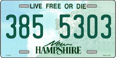NH license plate 3855303