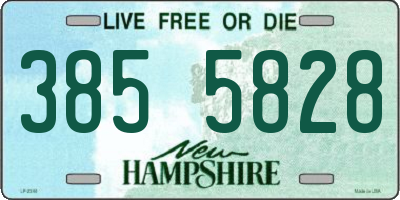 NH license plate 3855828