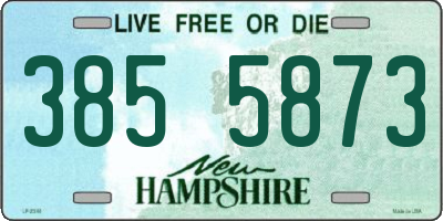 NH license plate 3855873