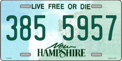 NH license plate 3855957