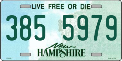 NH license plate 3855979