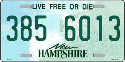 NH license plate 3856013