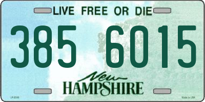 NH license plate 3856015