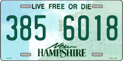 NH license plate 3856018