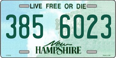 NH license plate 3856023