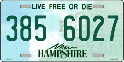 NH license plate 3856027