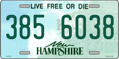 NH license plate 3856038