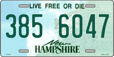 NH license plate 3856047