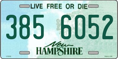 NH license plate 3856052