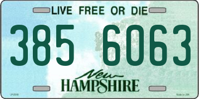NH license plate 3856063
