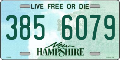 NH license plate 3856079