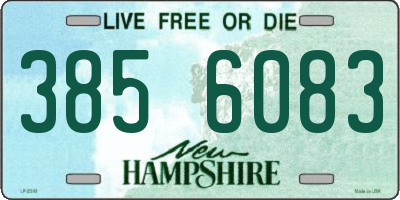 NH license plate 3856083