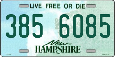 NH license plate 3856085